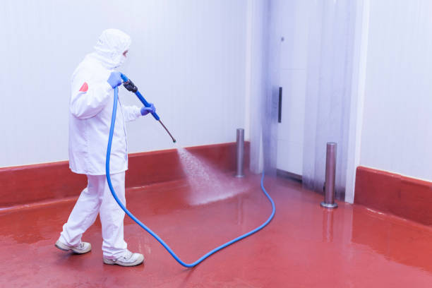 Paint Preparation in Heber Springs, AR